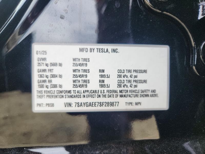 2025 TESLA MODEL Y 13