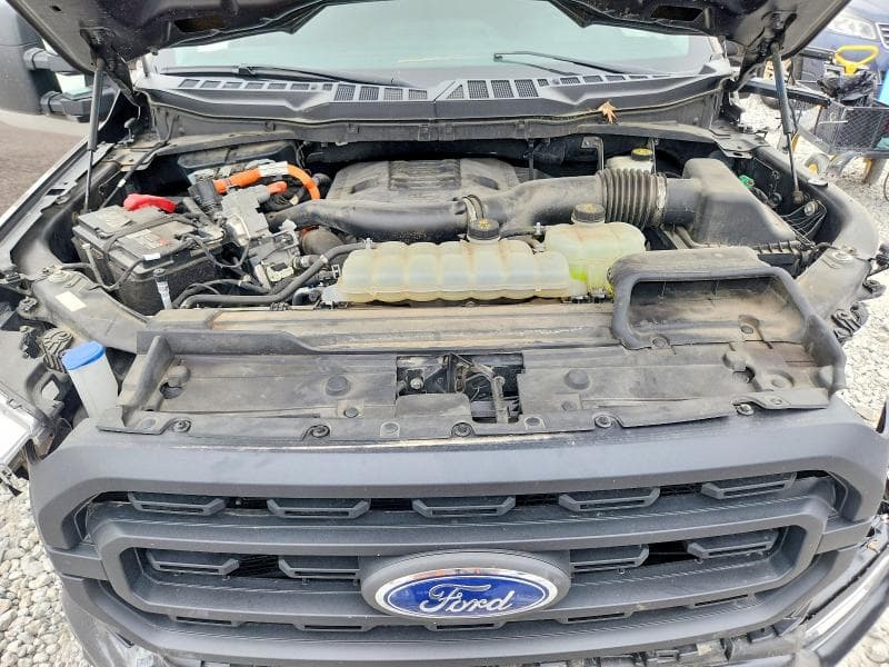 2021 FORD F150 SUPERCREW 11