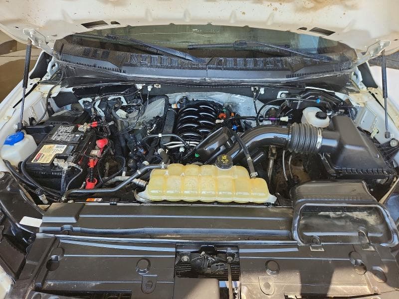 2020 FORD F150 SUPER CAB 11