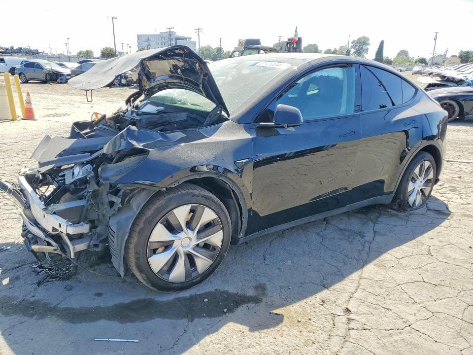 2021 TESLA MODEL Y - 1
