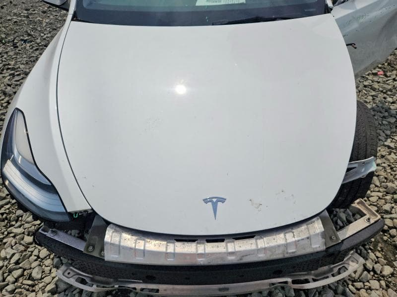 2021 TESLA MODEL Y 11