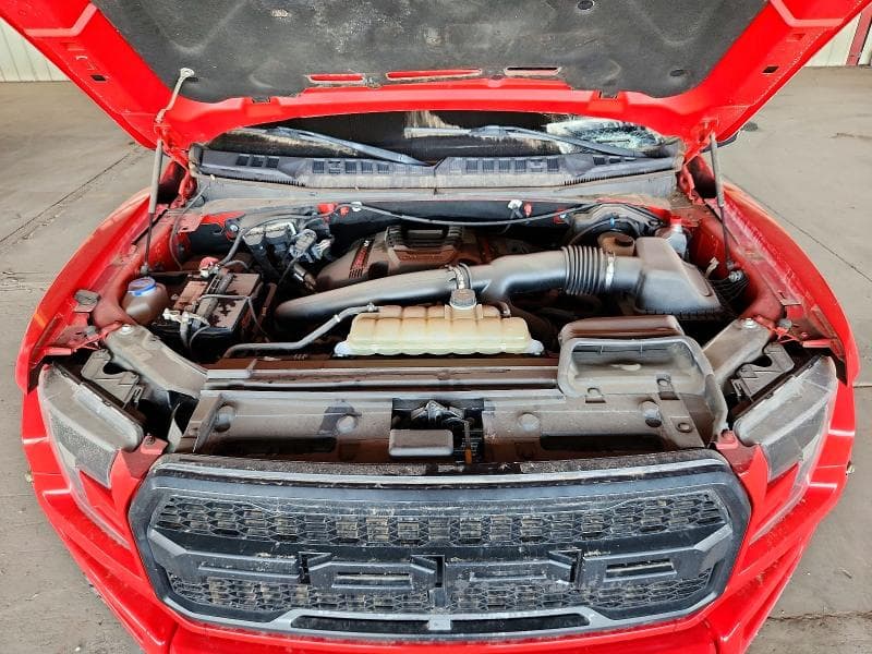 2019 FORD F150 RAPTOR 11