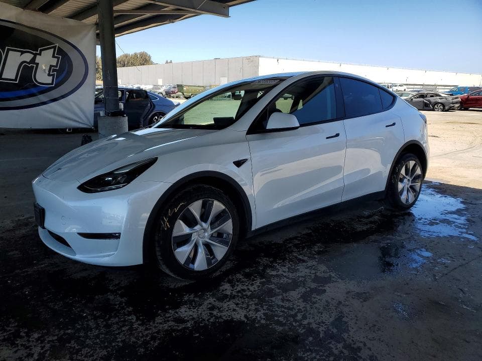 2023 TESLA MODEL Y - 1
