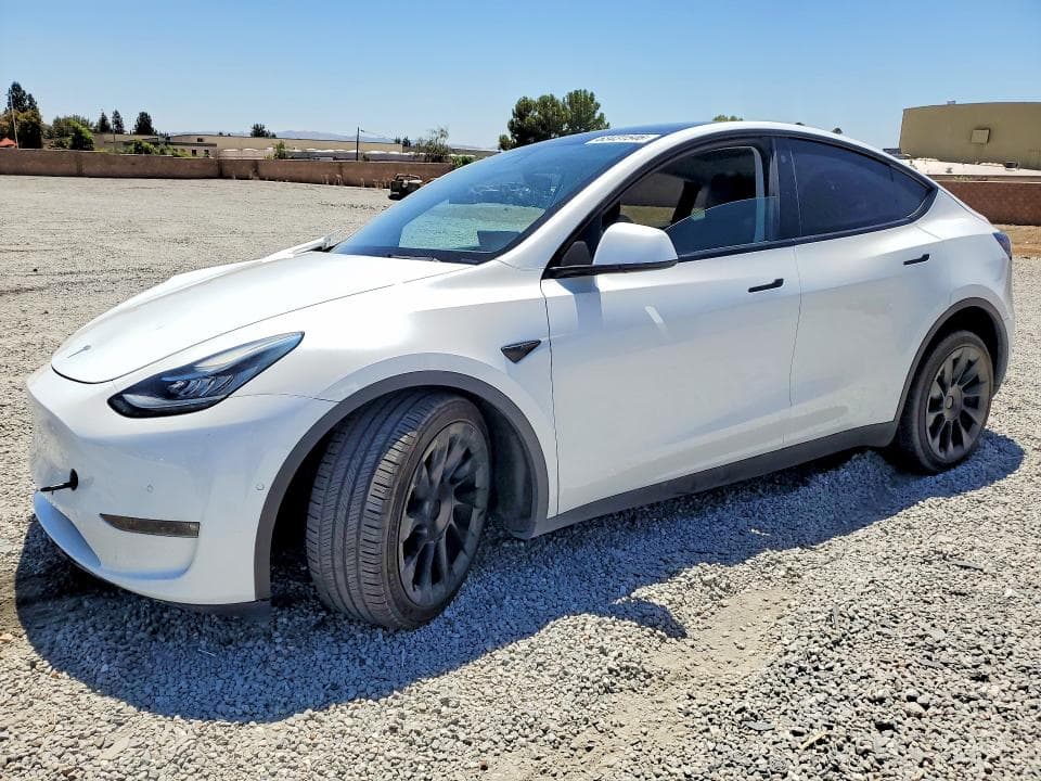 2021 TESLA MODEL Y