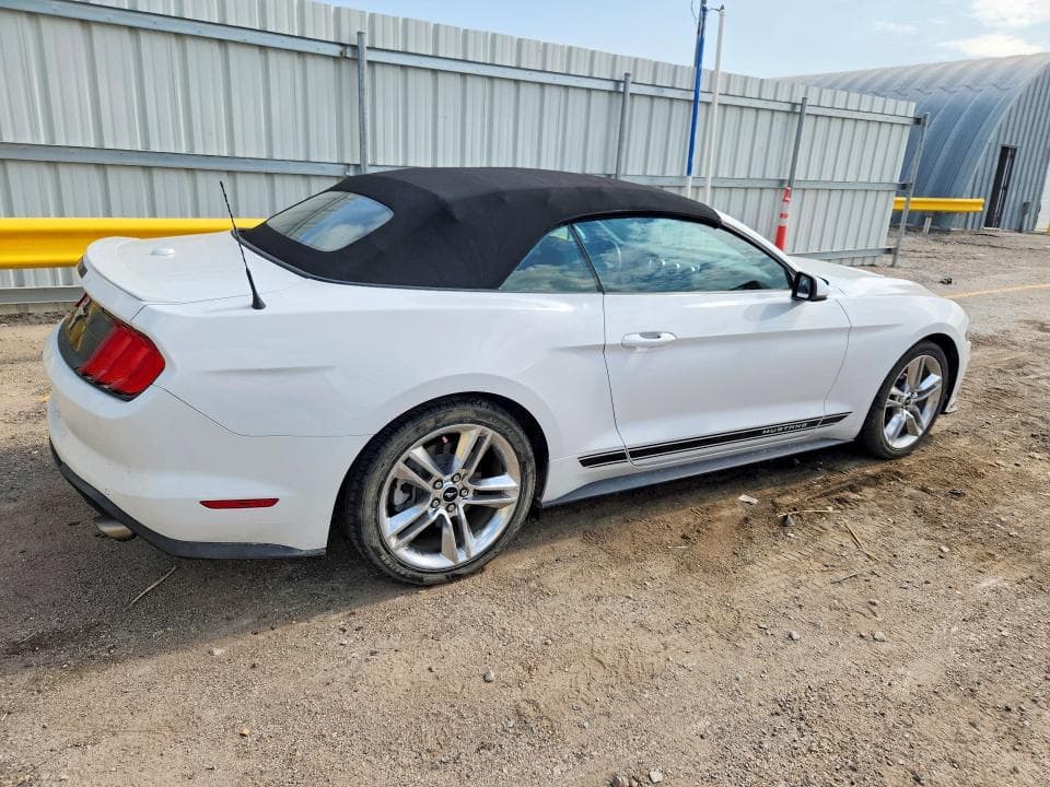 2019 FORD MUSTANG 3