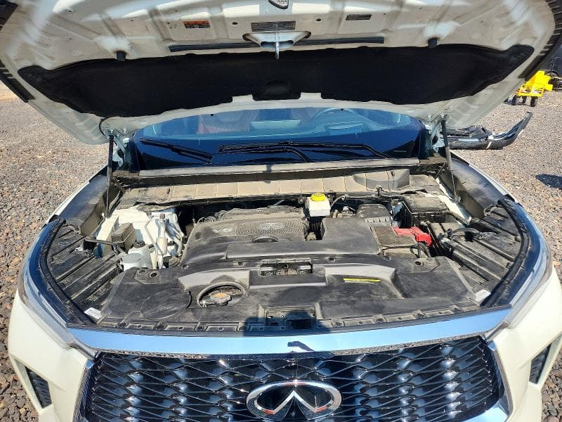 2024 INFINITI QX60 AUTOGRAPH 12