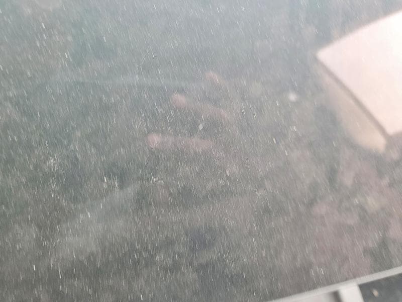 2023 TESLA MODEL 3 9
