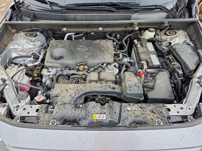 2024 TOYOTA RAV4 LE 12