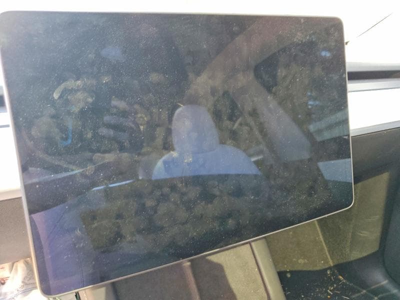 2021 TESLA MODEL Y 9