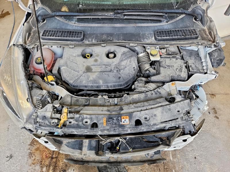 2019 FORD ESCAPE TITANIUM 11