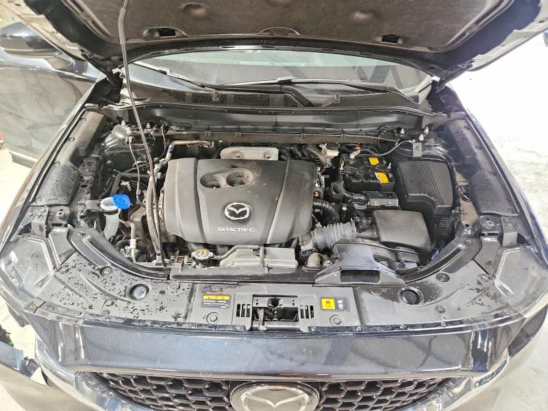 2025 MAZDA CX-5 SELECT 12