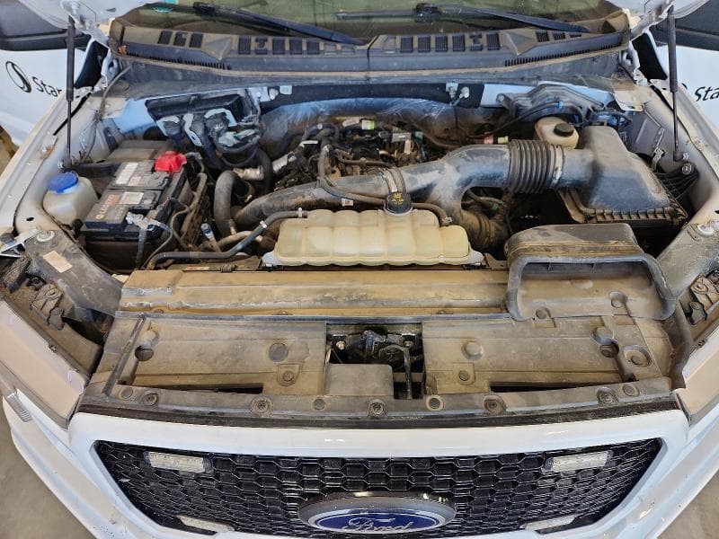 2019 FORD F150 SUPER CAB 11