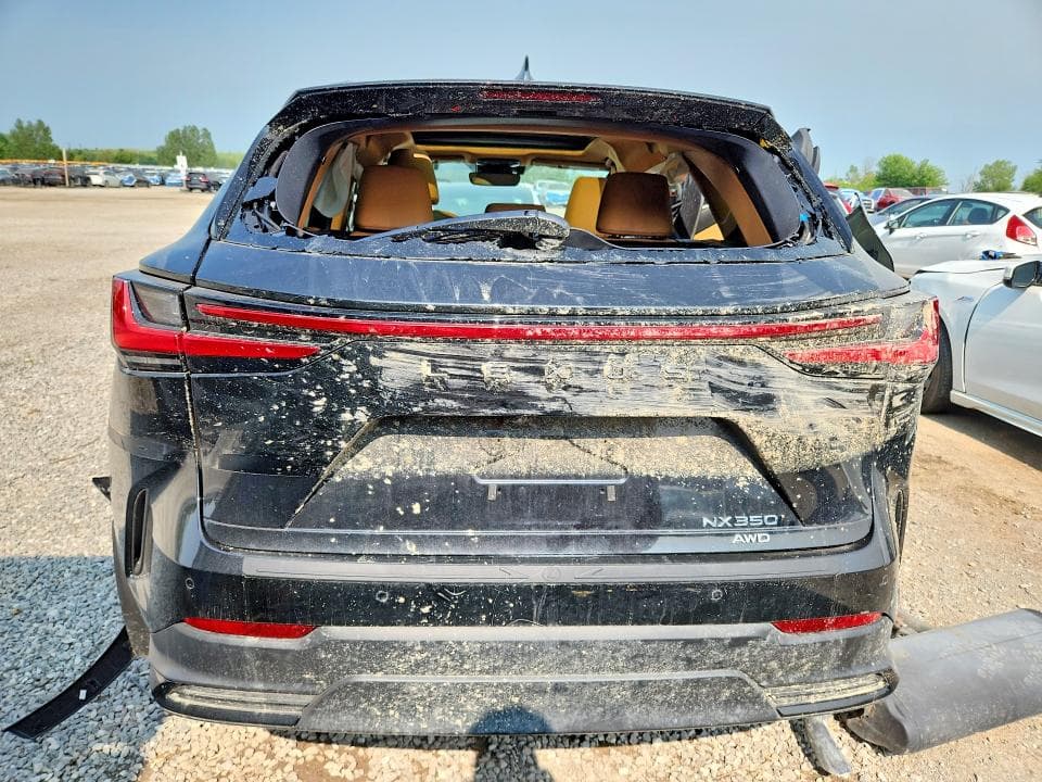 2025 LEXUS NX 350 PREMIUM 6