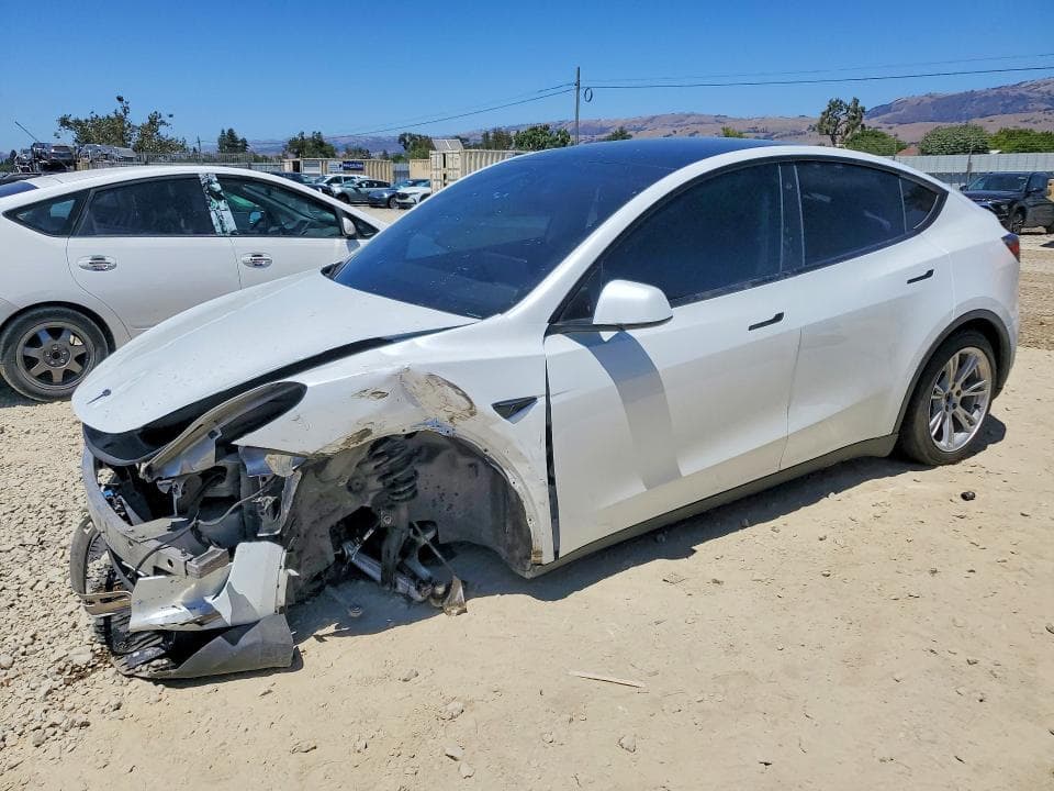 2022 TESLA MODEL Y - 1