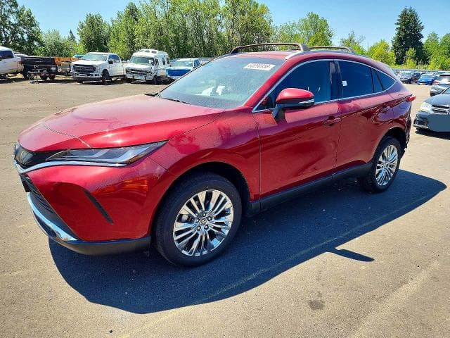 2024 TOYOTA VENZA XLE - 1