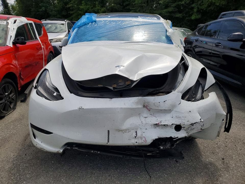 2023 TESLA MODEL Y 5