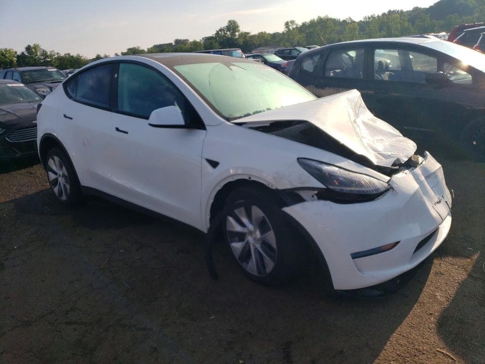 2023 TESLA MODEL Y 4