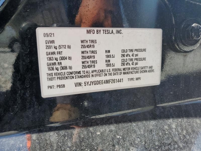 2021 TESLA MODEL Y 13