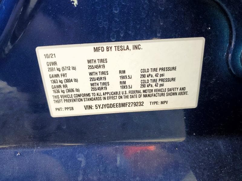 2021 TESLA MODEL Y 13