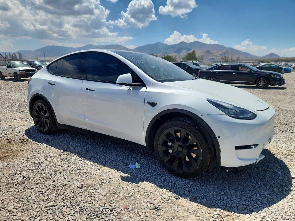 2020 TESLA MODEL Y 4