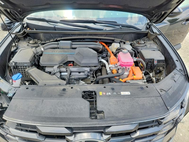 2025 HYUNDAI TUCSON BLUE 12