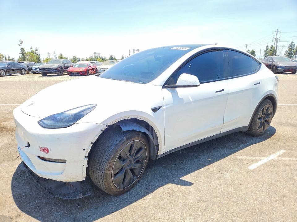 2020 TESLA MODEL Y - 1