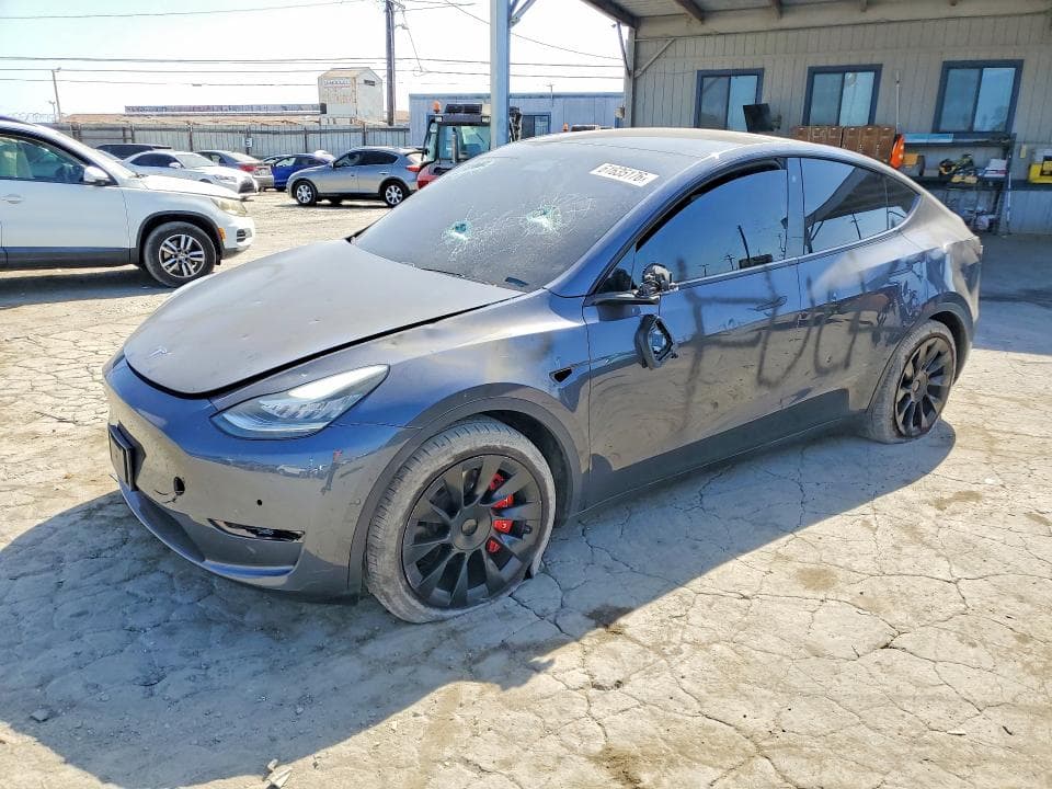 2020 TESLA MODEL Y - 1