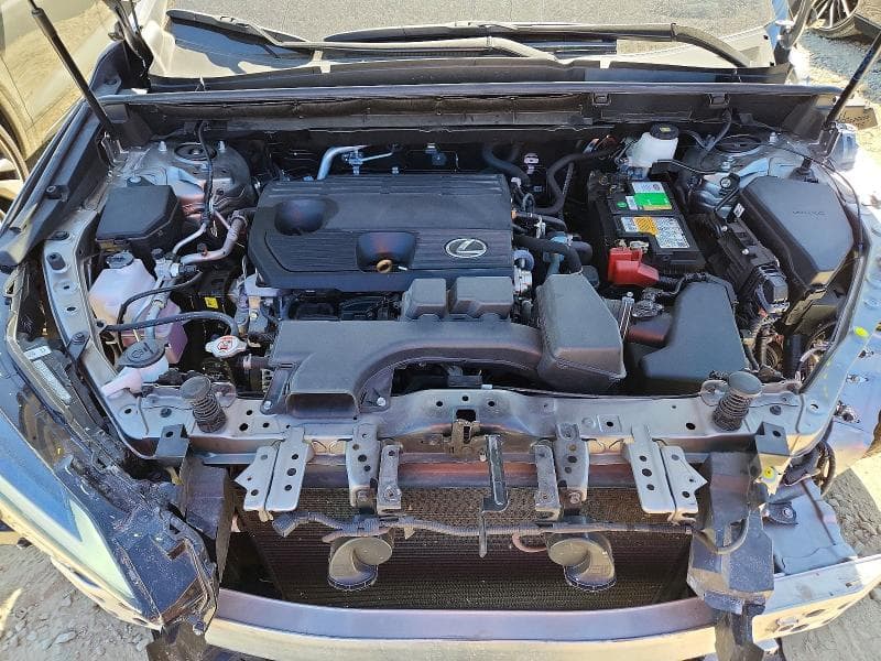 2024 LEXUS NX 250 BASE 12