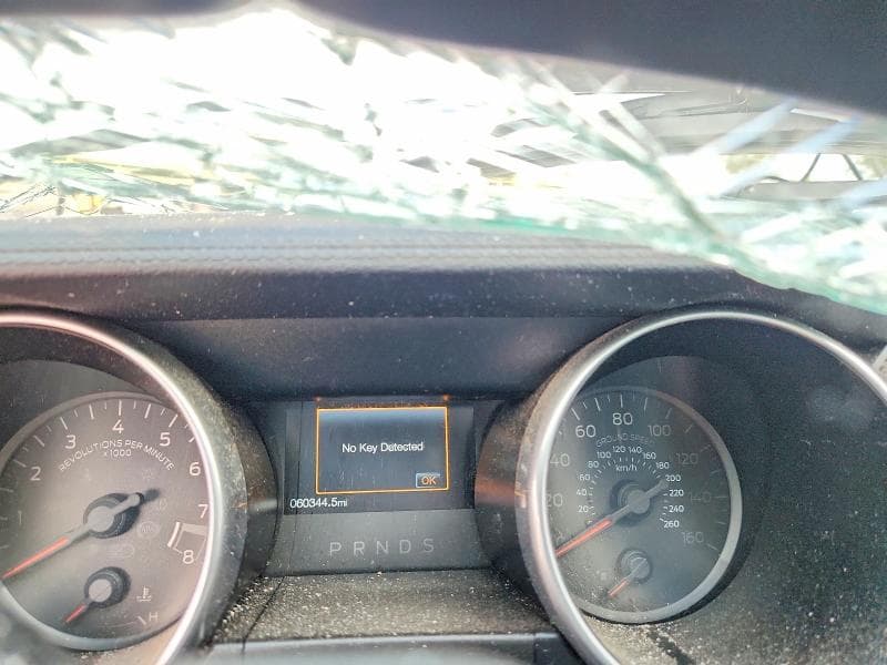 2019 FORD MUSTANG GT 9