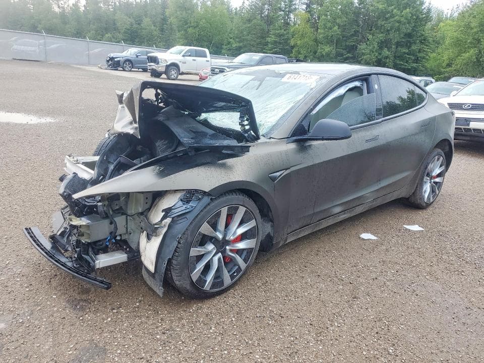 2024 TESLA MODEL 3 - 1