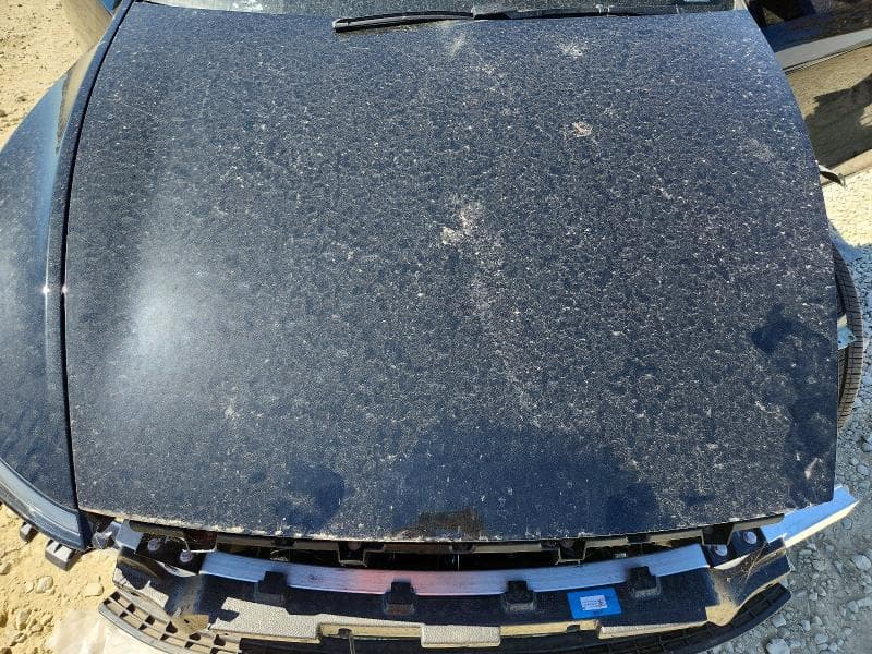 2026 TESLA MODEL Y 12