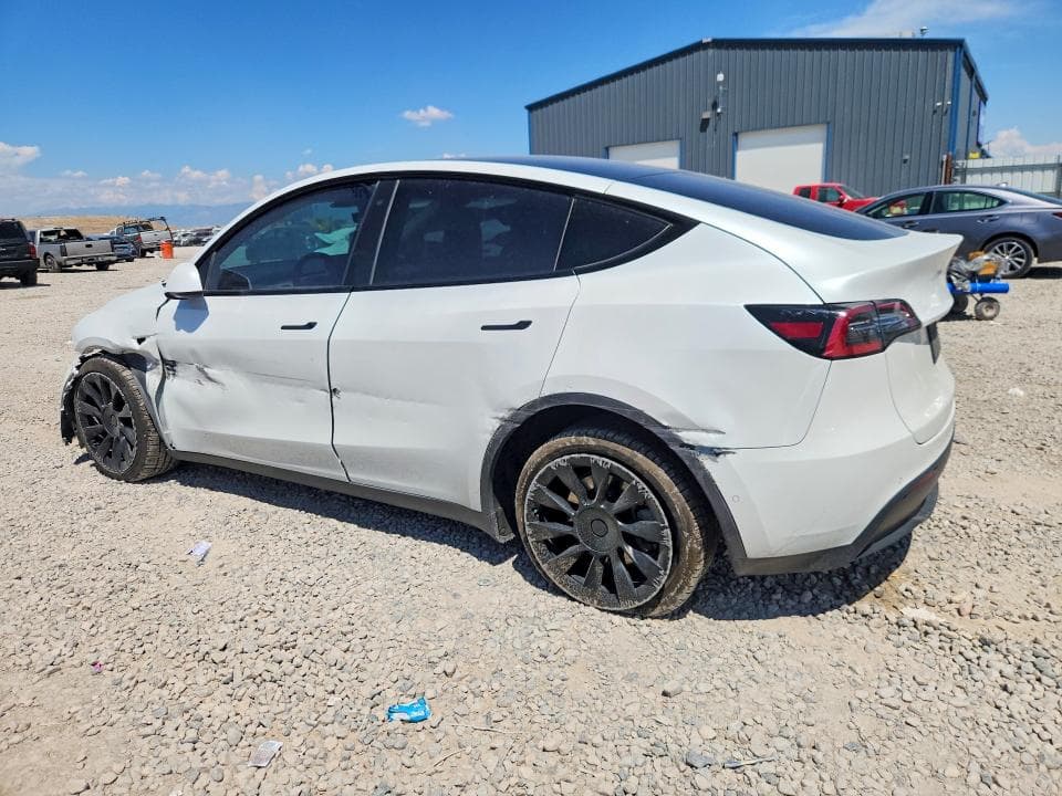 2020 TESLA MODEL Y 2