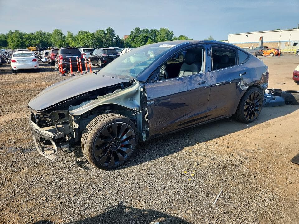 2022 TESLA MODEL  Y - 1