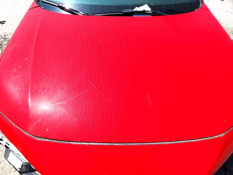 2025 HONDA CIVIC SPORT 11