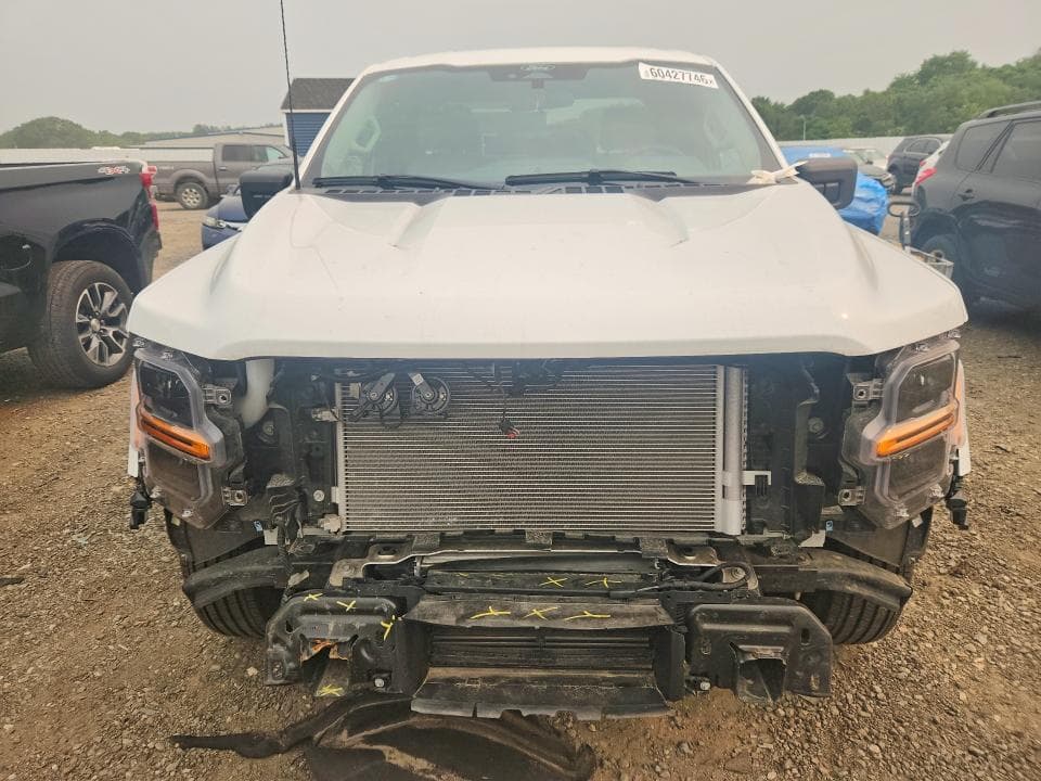 2025 FORD F150 XL 5