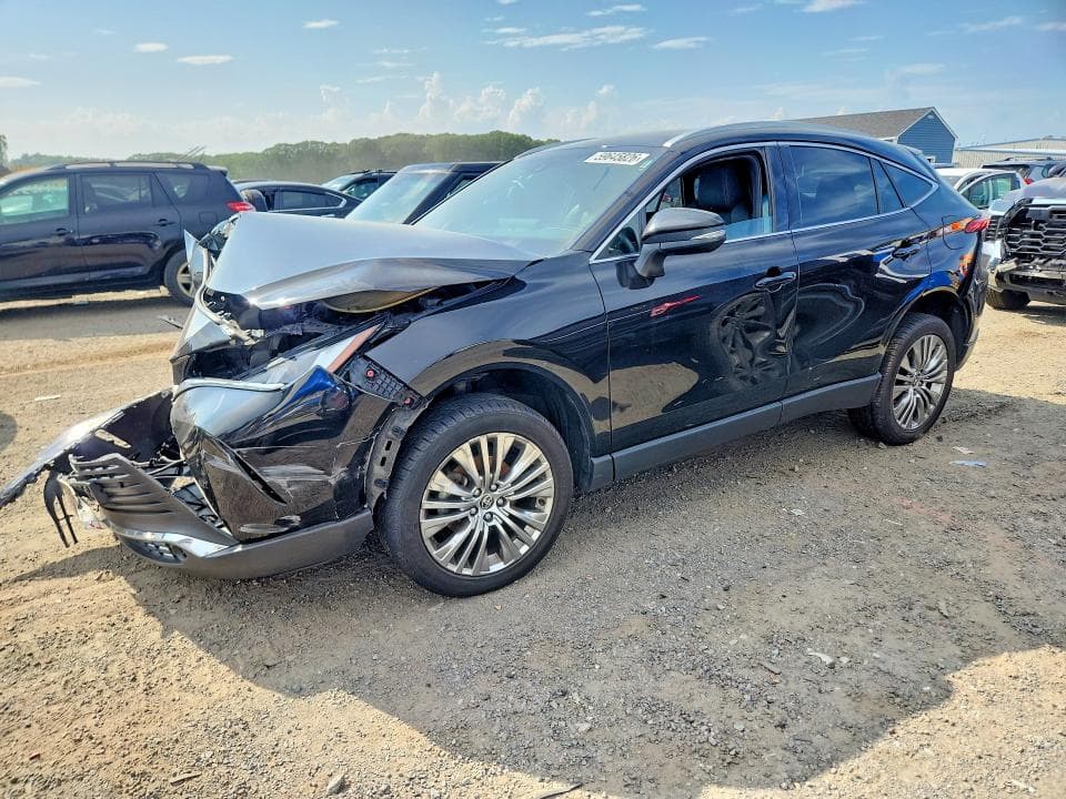 2023 TOYOTA VENZA XLE