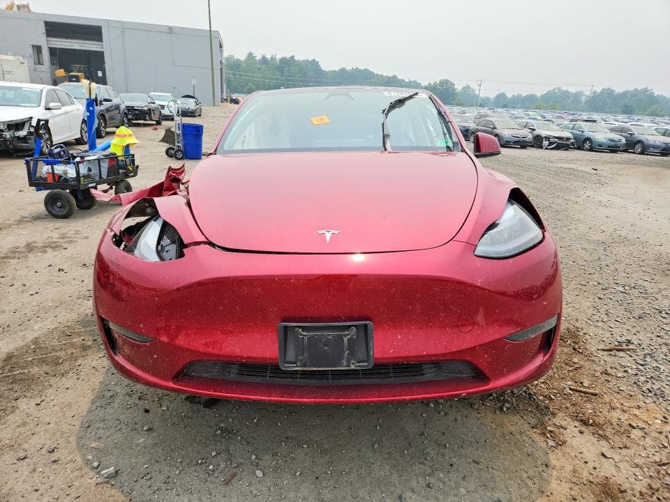 2024 TESLA MODEL Y 5