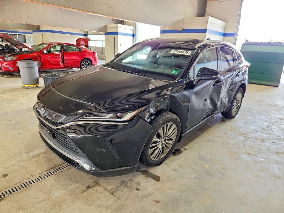 2024 TOYOTA VENZA XLE - 1