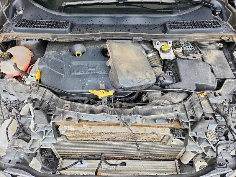 2019 FORD ESCAPE TITANIUM 12