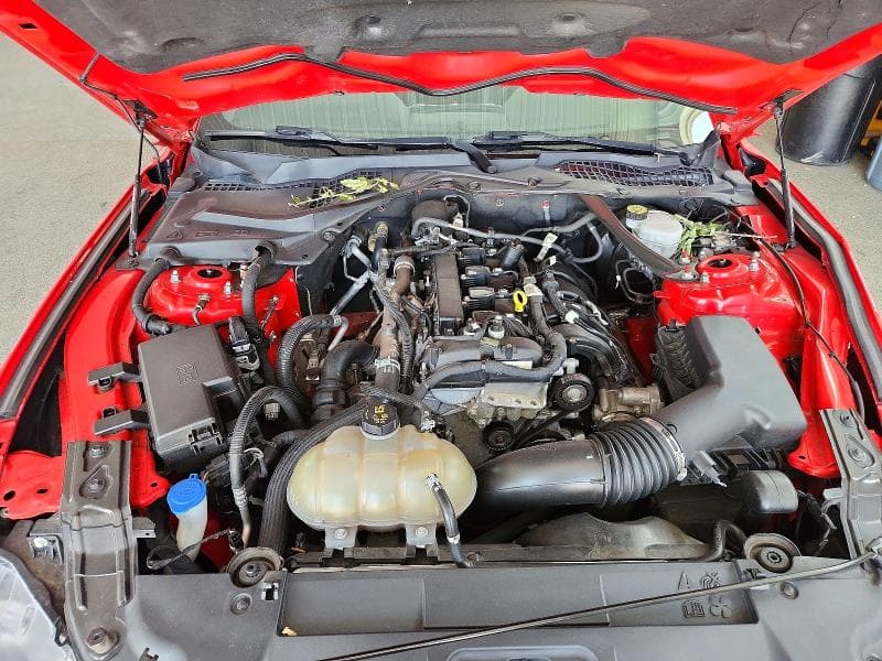 2021 FORD MUSTANG 11