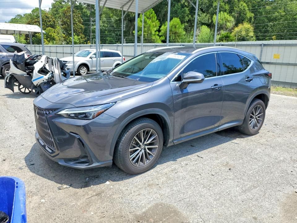 2024 LEXUS NX 250 BASE - 1