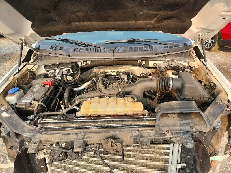 2020 FORD F150 SUPERCREW 11