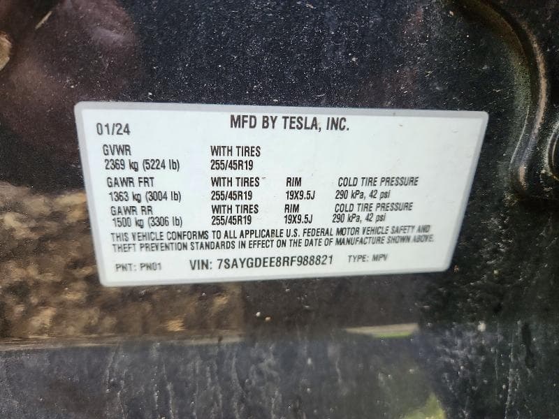 2024 TESLA MODEL Y 12