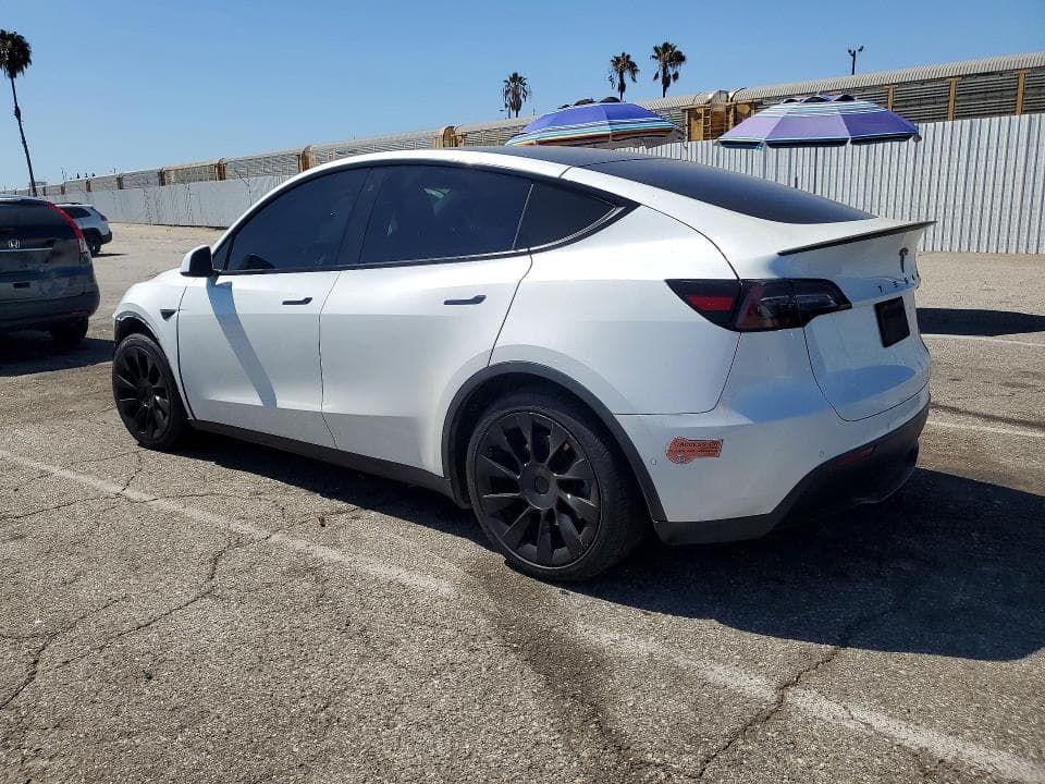 2020 TESLA MODEL Y 2