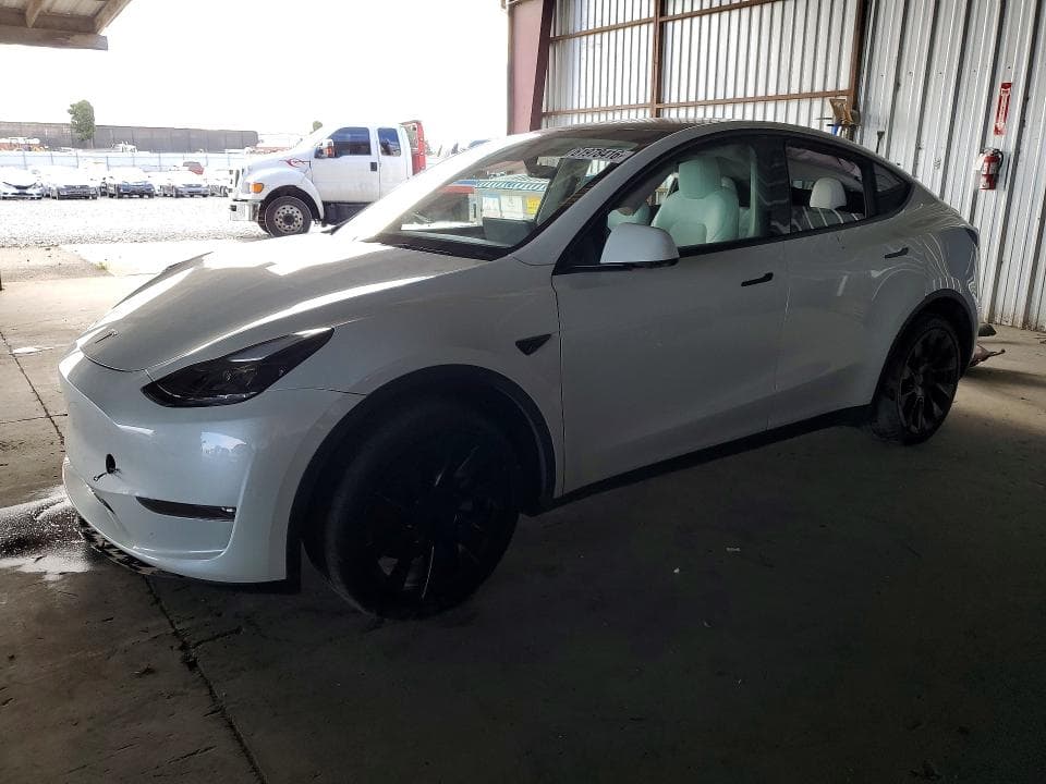 2023 TESLA MODEL Y - 1