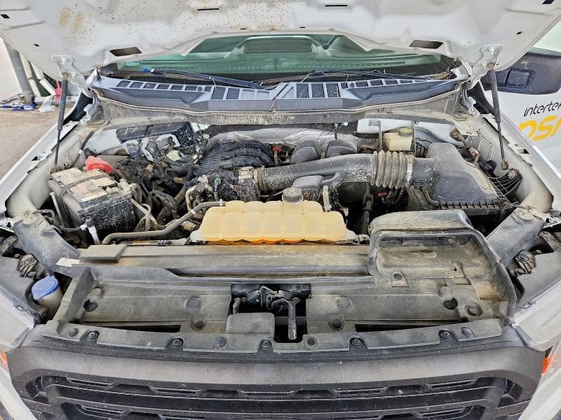 2021 FORD F150 11