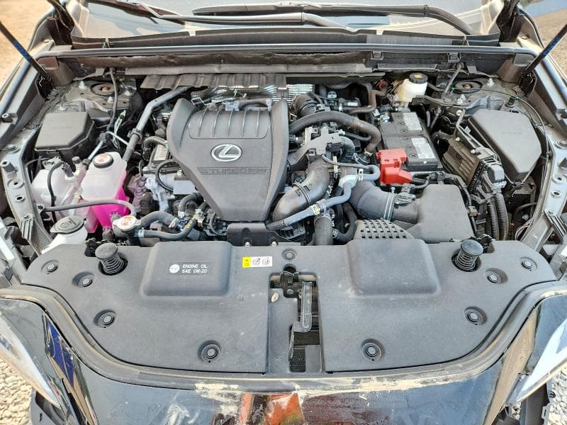 2025 LEXUS NX 350 PREMIUM 12