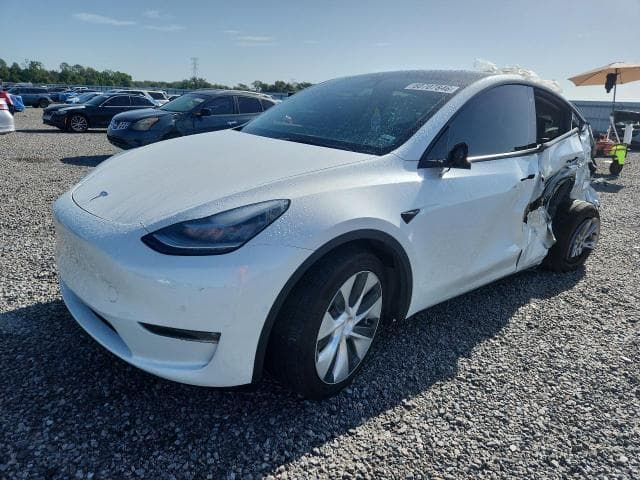 2021 TESLA MODEL Y - 1