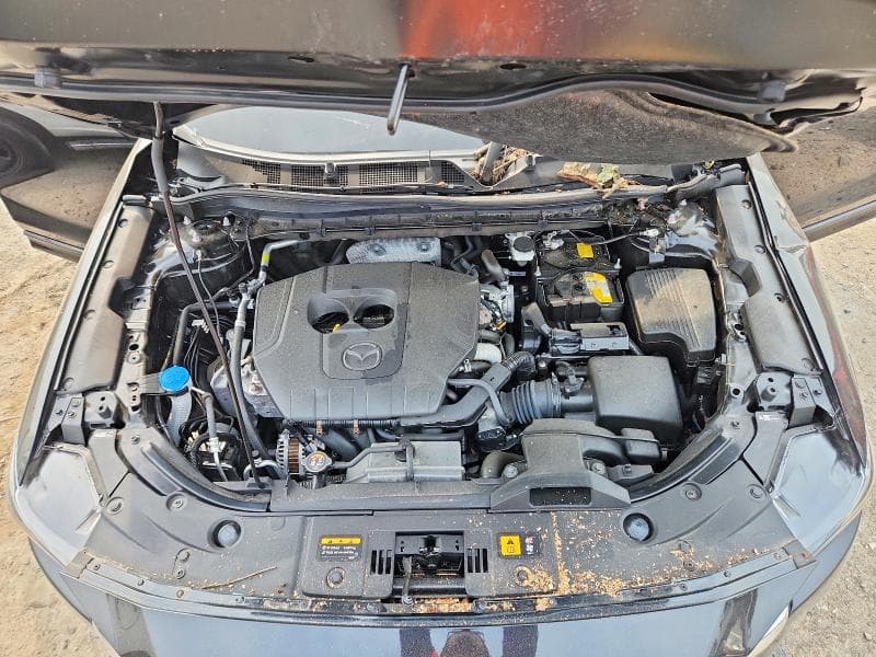 2025 MAZDA CX-5 PREMIUM PLUS 12
