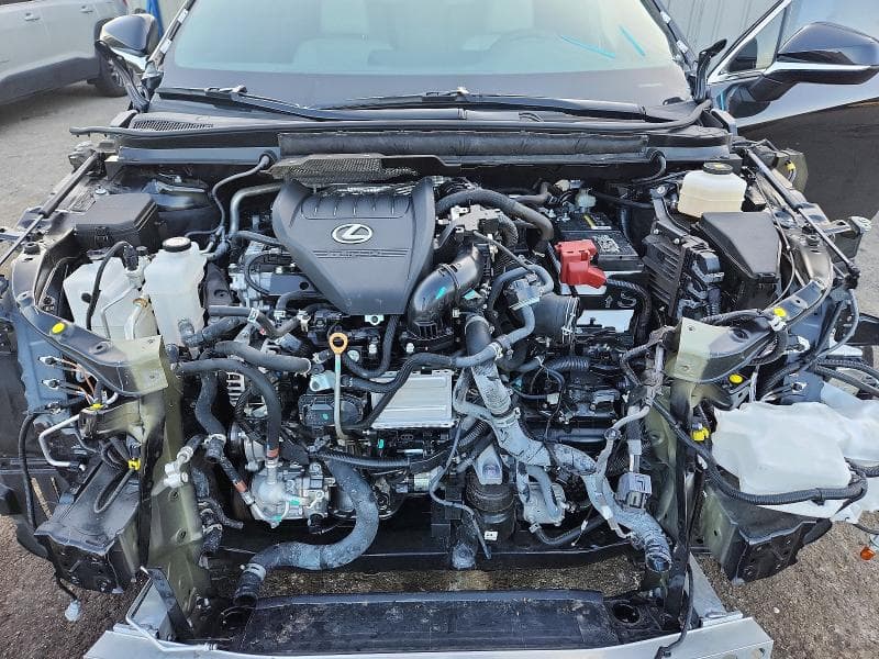 2025 LEXUS RX 350 PREMIUM 12